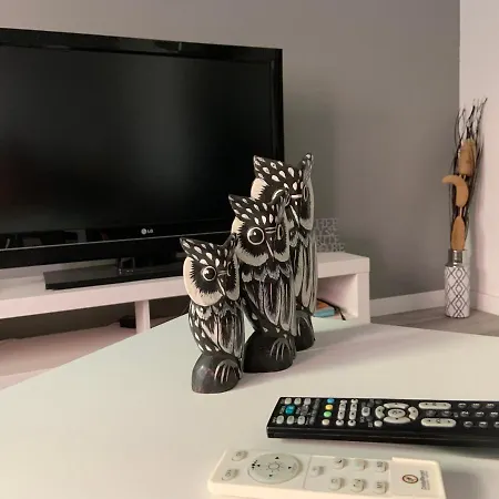 Coliving El Toro Gæstehus *