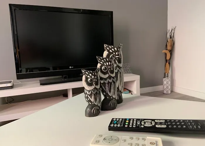 Coliving El Toro Pensjonat *